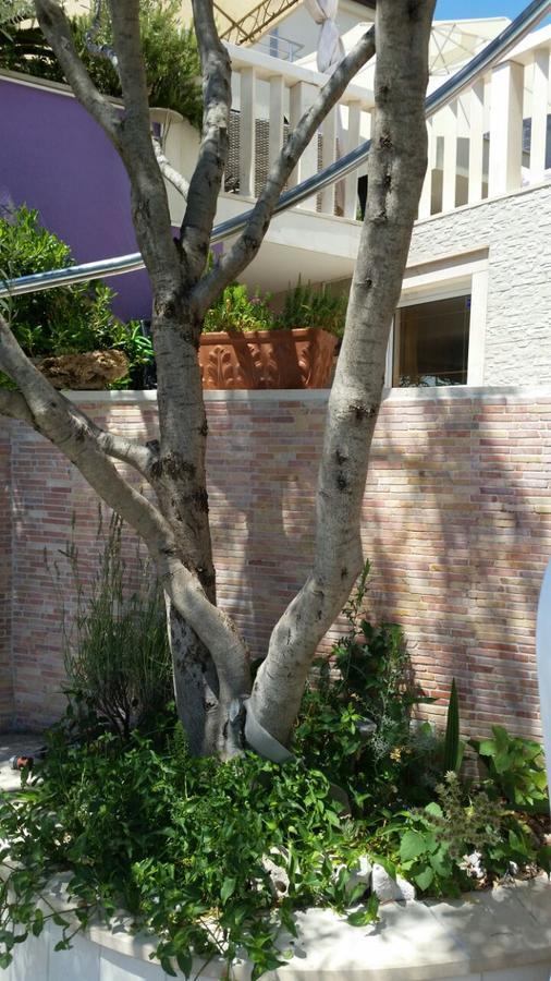 Apartment Rita Oase Makarska
