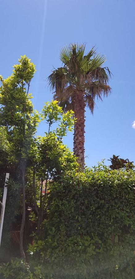 Apartment Rita Oase Makarska